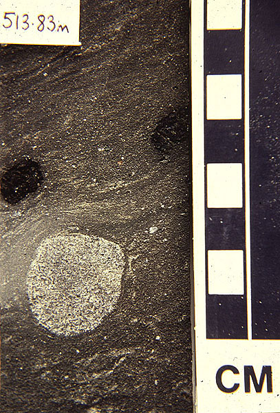 Earth’s glacial record Earth’s glacial record