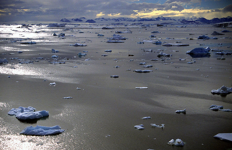 Postscript: future prospects of glaciers Postscript: future prospects of glaciers