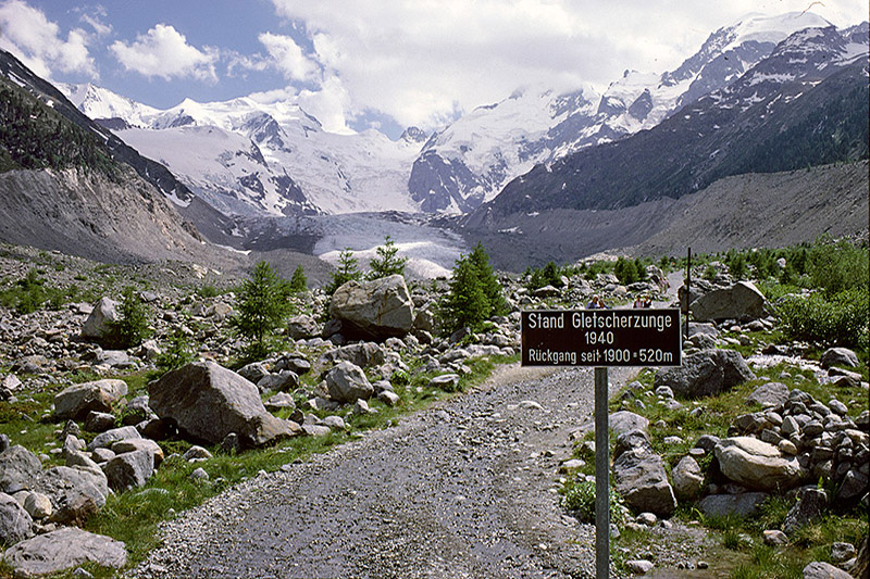 Ecological succession in the forefield of Vadret da Morteratsch