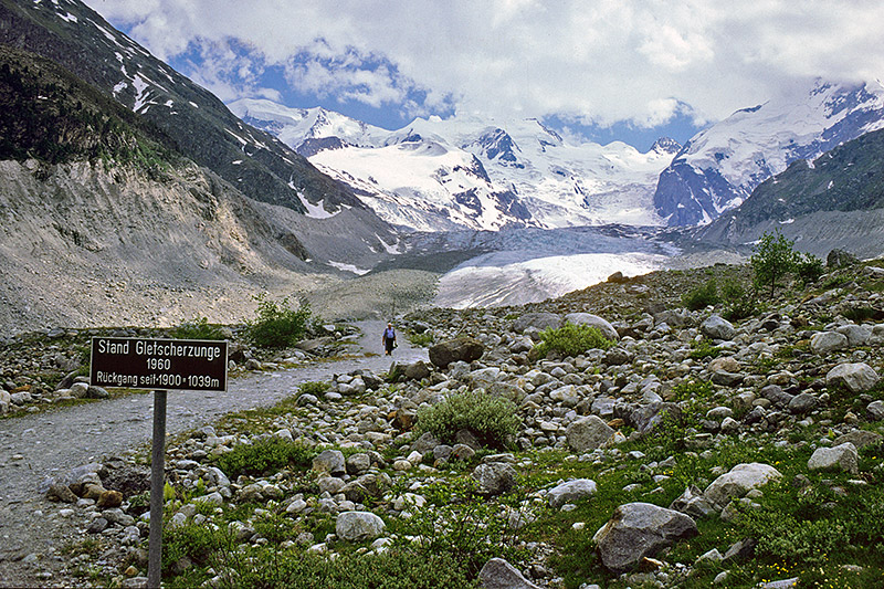 Sukzession der Vegetation im Gletschervorfeld