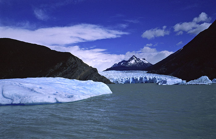 Glaciar Grey