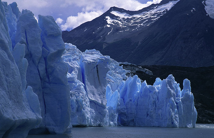 Glaciar Grey