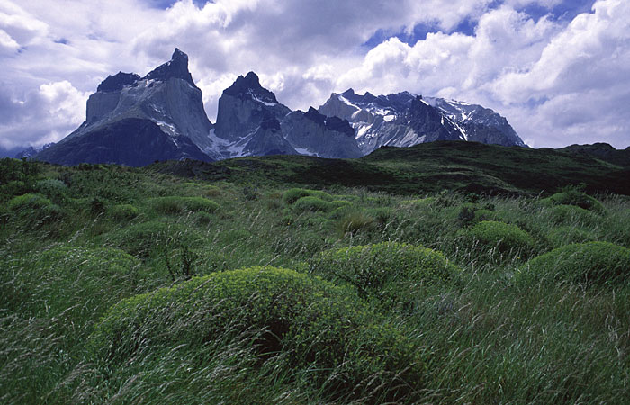 Cuernos del Paine