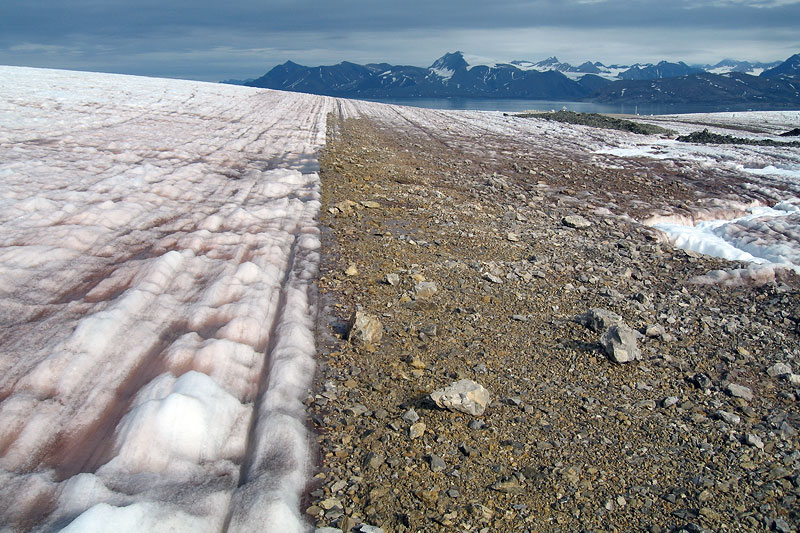 Austre Brggerbreen