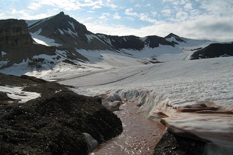 Austre Brggerbreen