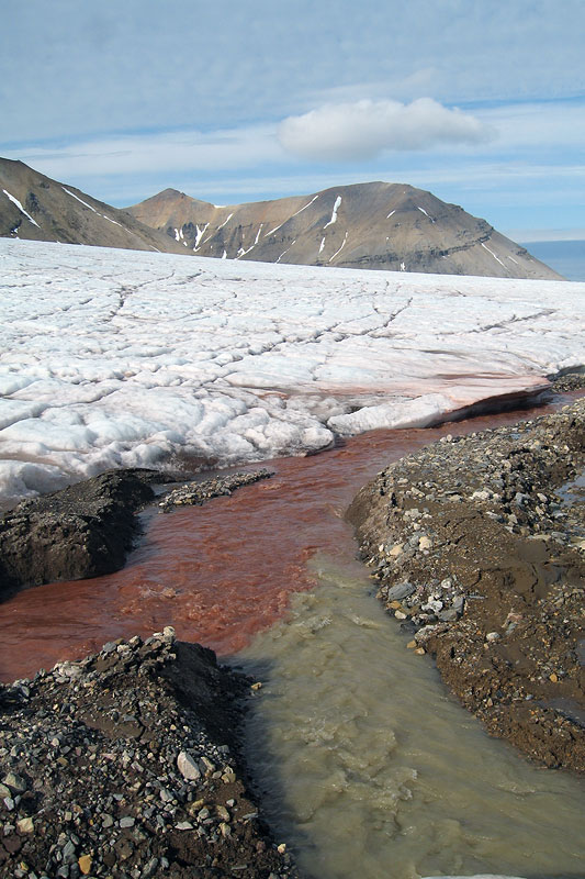 Austre Brggerbreen