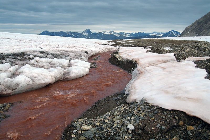 Austre Brggerbreen