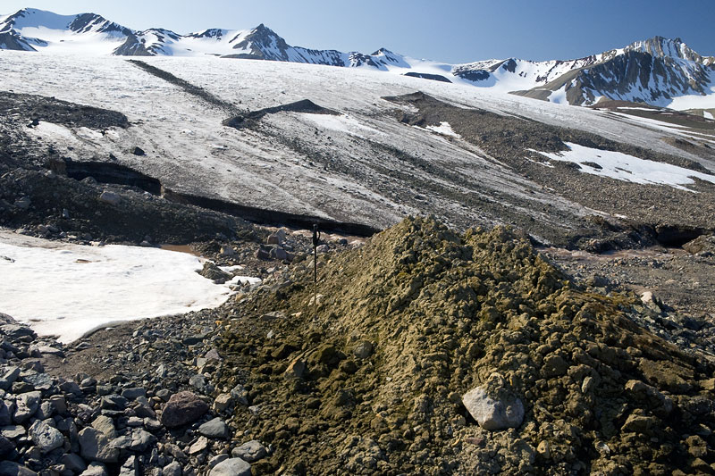 Austre Brggerbreen