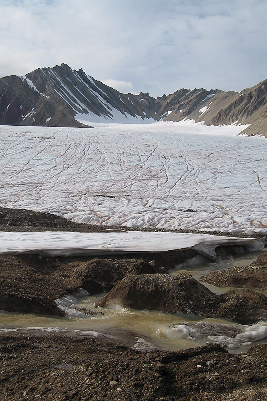 Austre Brggerbreen