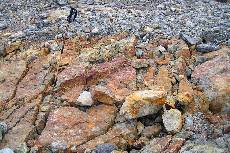 Austre Lovnbreen: the glacier forefield