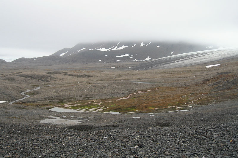 Austre Lovnbreen: the glacier forefield