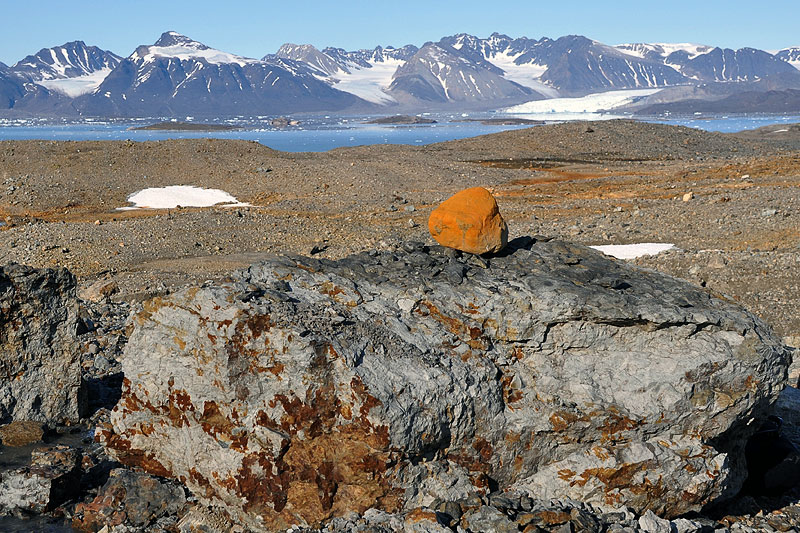 Austre Lovnbreen: the glacier forefield