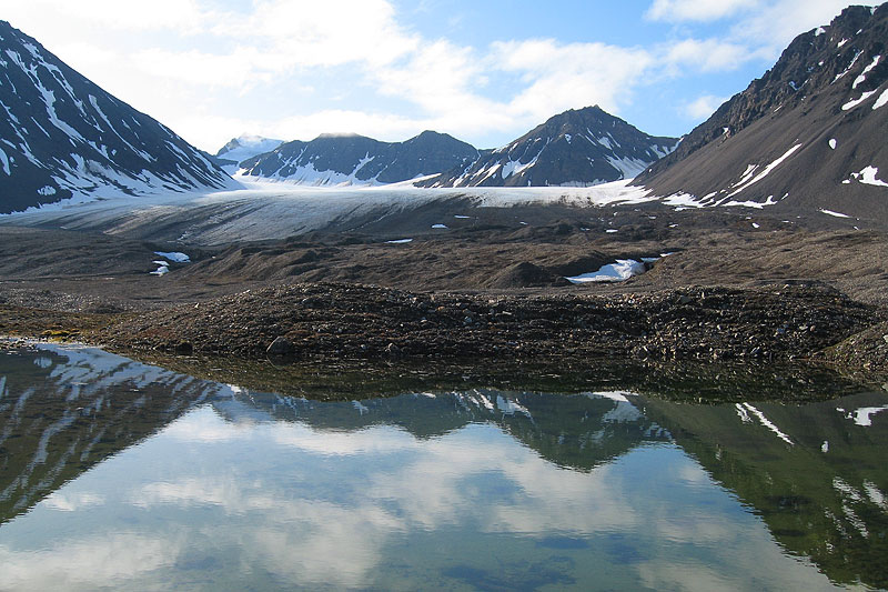 Austre Lovnbreen: the glacier forefield