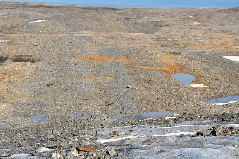 Austre Lovnbreen: the glacier forefield