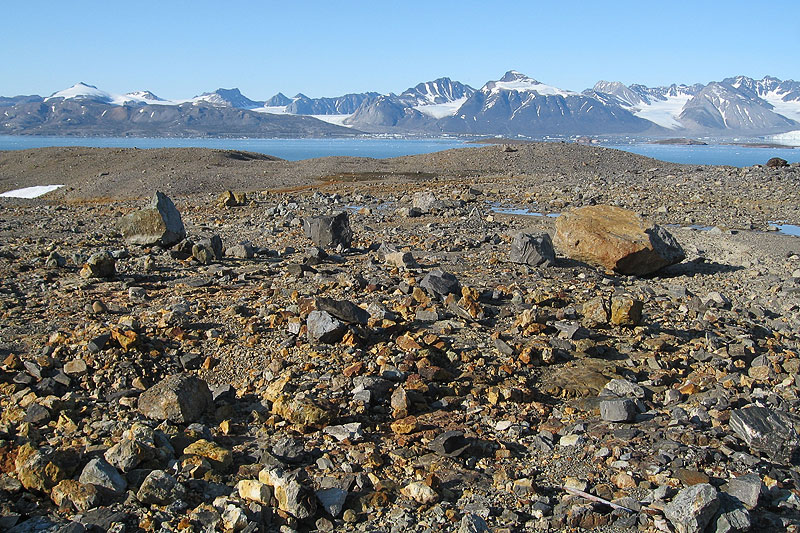 Austre Lovnbreen: the glacier forefield