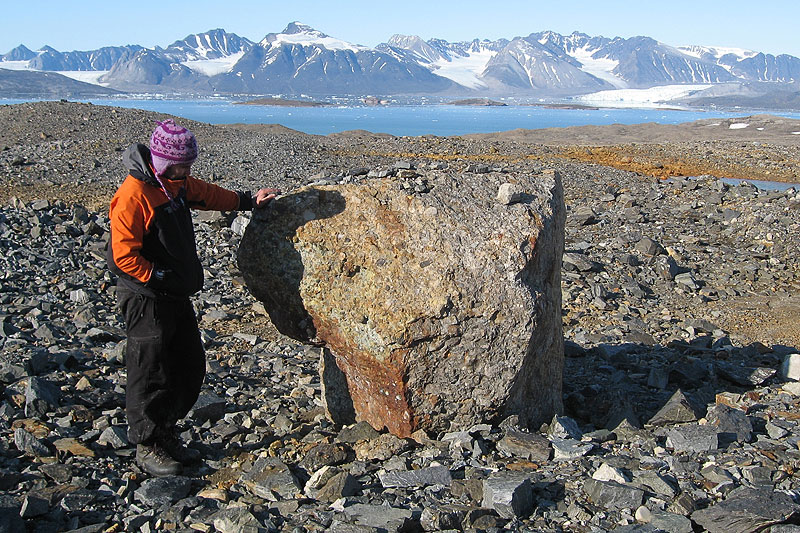 Austre Lovnbreen: the glacier forefield