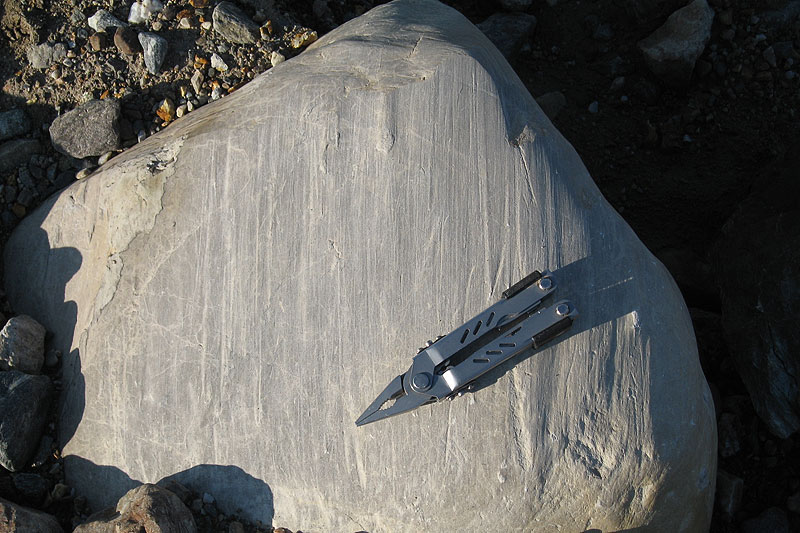 Austre Lovnbreen: the glacier forefield