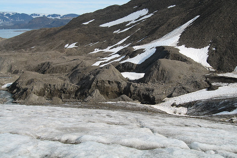 Austre Lovnbreen: the glacier forefield