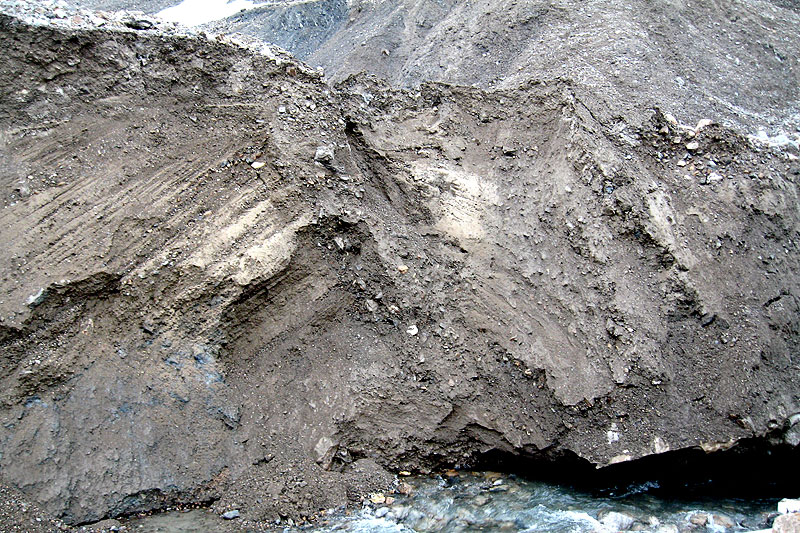 Austre Lovnbreen: the glacier forefield