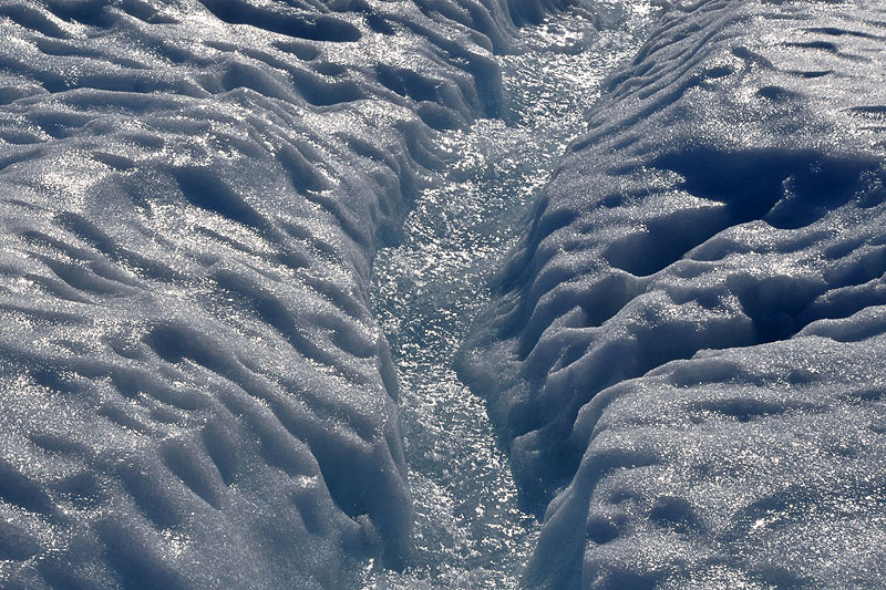 Austre Lovnbreen: the glacier surface