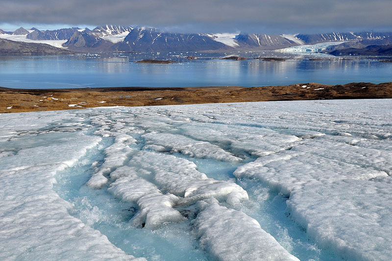 Austre Lovnbreen: the glacier surface