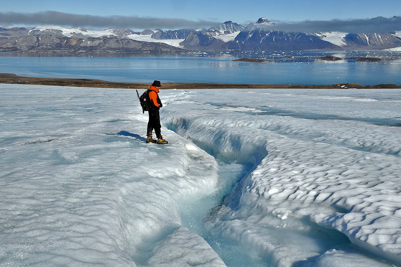 Austre Lovnbreen: the glacier surface