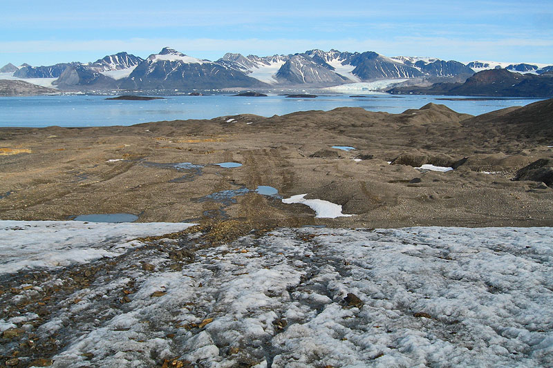 Austre Lovnbreen: the glacier surface