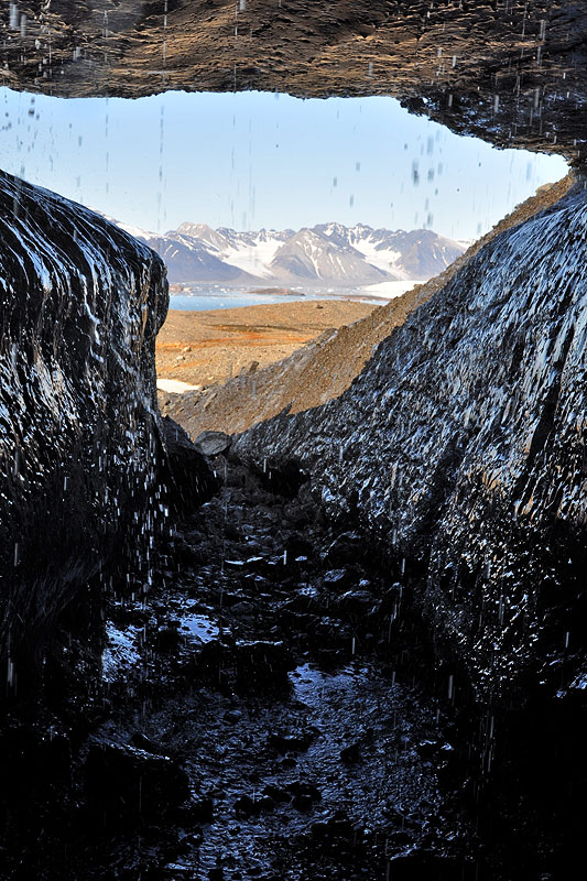 Austre Lovnbreen: the glacier surface