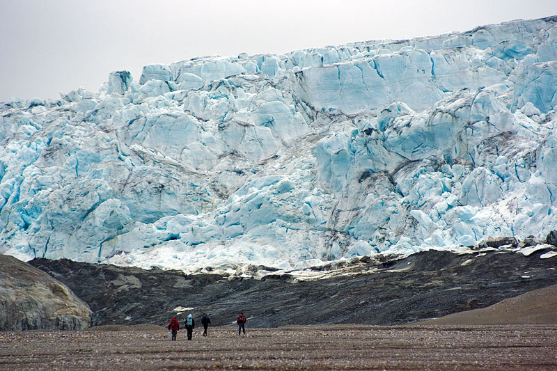 Comfortlessbreen