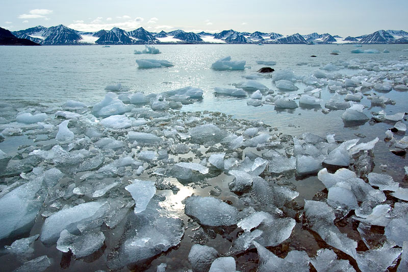 Ice dreams: Icebergs of Kongsfjorden