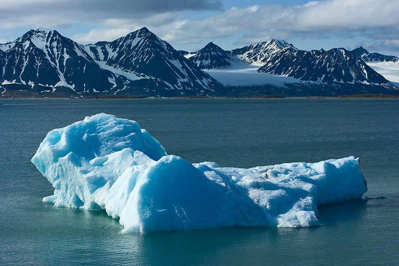 Ice dreams: Icebergs of Kongsfjorden