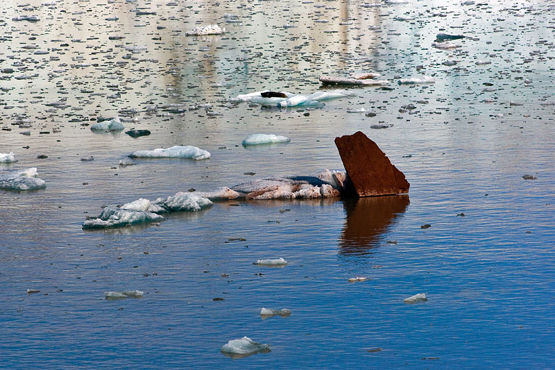 Ice dreams: Icebergs of Kongsfjorden