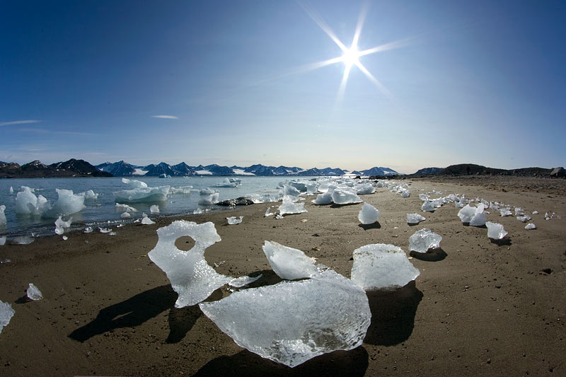 Ice dreams: Icebergs of Kongsfjorden