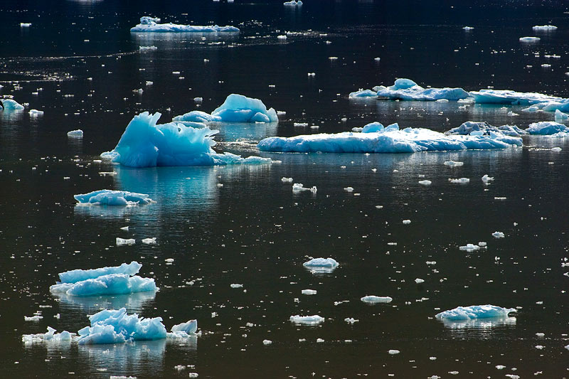 Ice dreams: Icebergs of Kongsfjorden