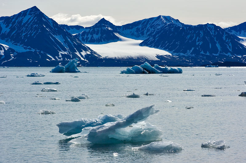 Ice dreams: Icebergs of Kongsfjorden