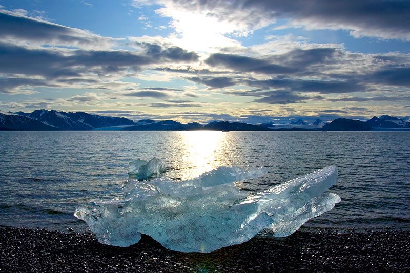 Ice dreams: Icebergs of Kongsfjorden