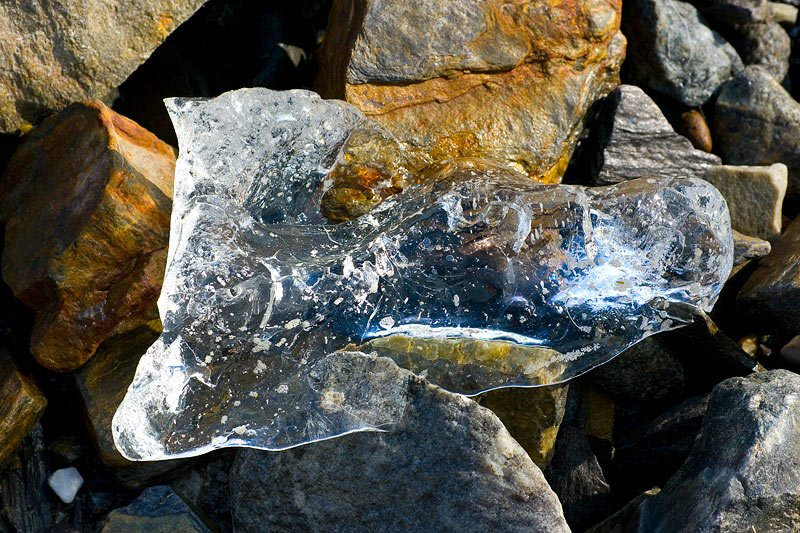 Ice dreams: Icebergs of Kongsfjorden