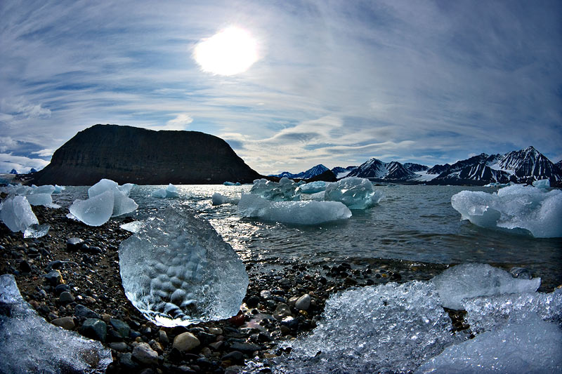 Ice dreams: Icebergs of Kongsfjorden