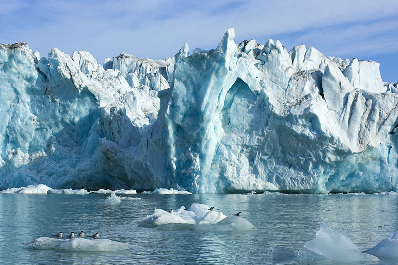 Kongsbreen (northwest)