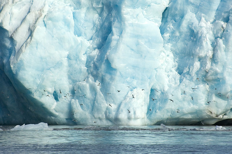 Kongsbreen (northwest)