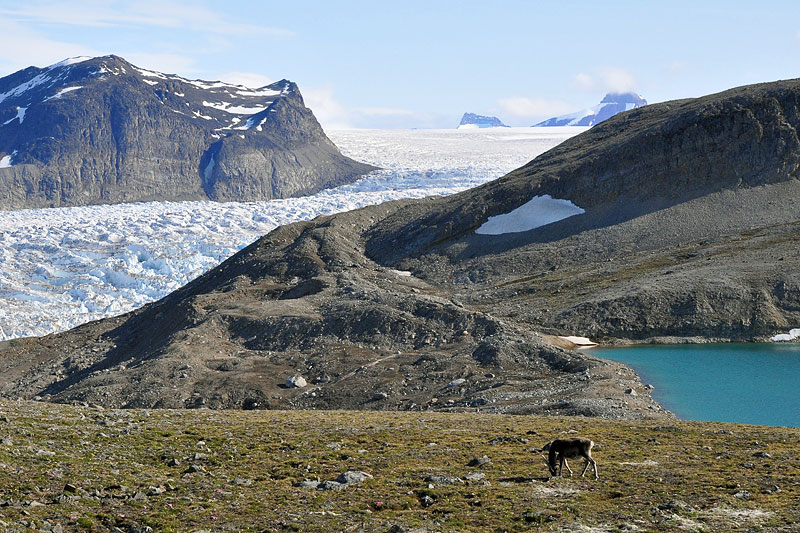 Kongsbreen (northwest)