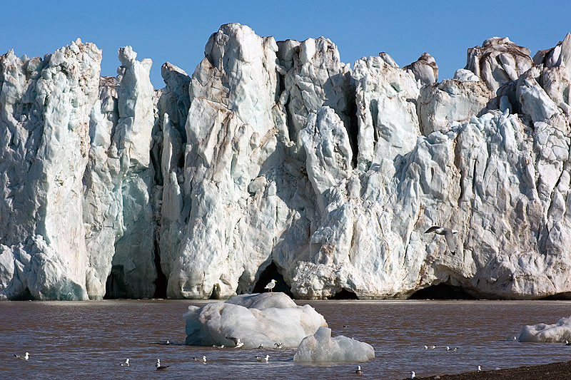 Kongsvegen and Kronebreen