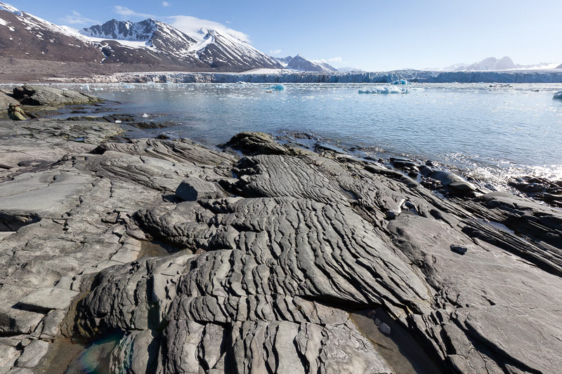 Monacobreen, Seligerbreen and Emmabreen