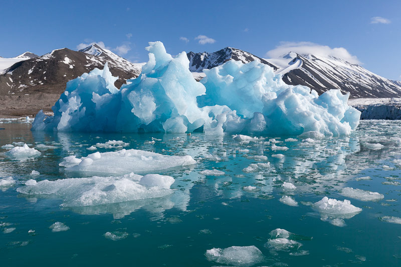 Monacobreen, Seligerbreen and Emmabreen