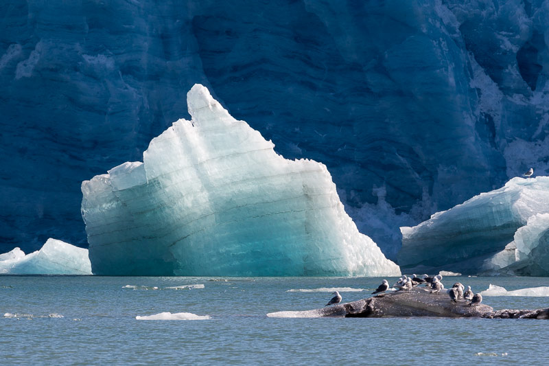 Monacobreen, Seligerbreen and Emmabreen