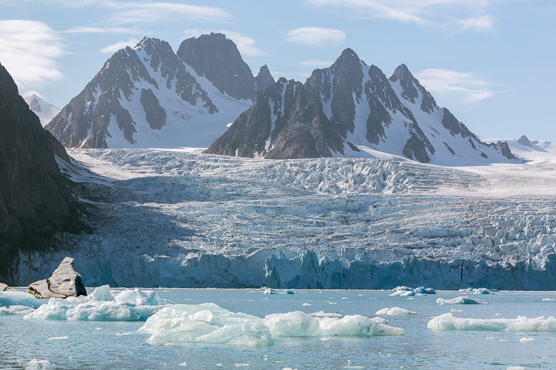 Monacobreen, Seligerbreen and Emmabreen