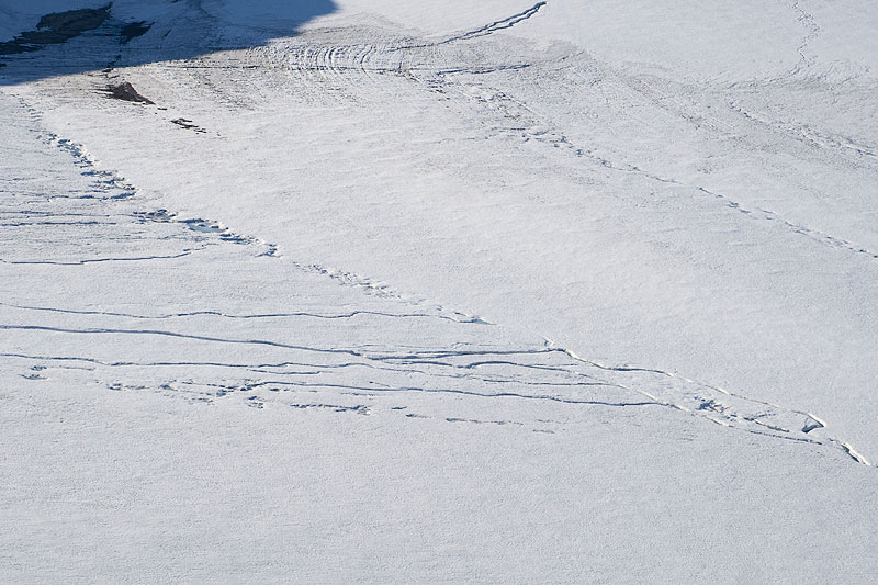 Oslobreen