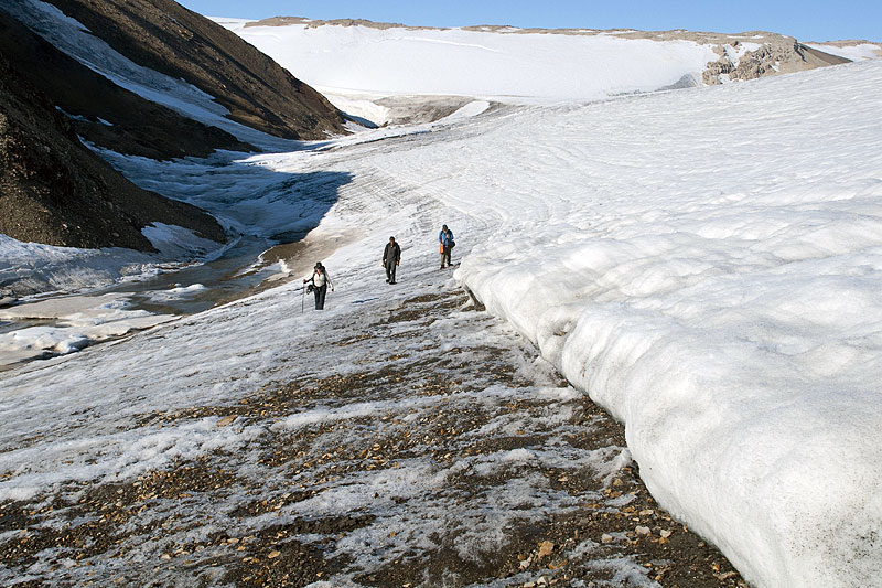 Oslobreen