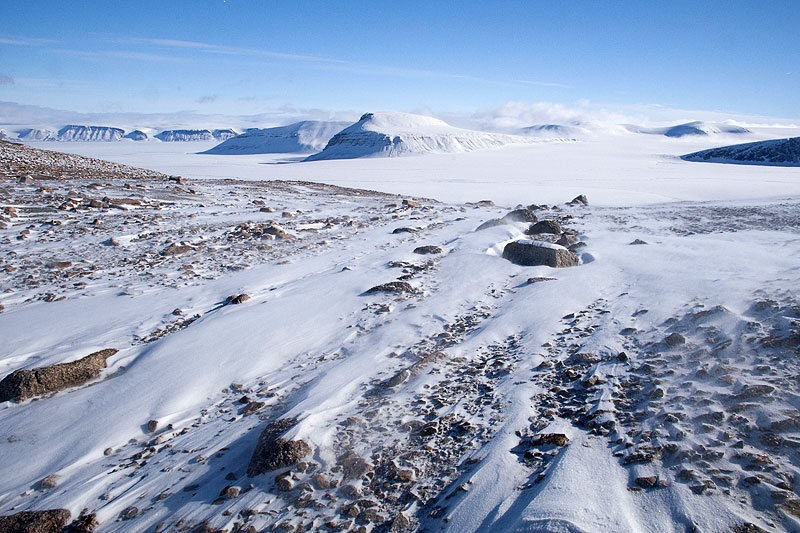 Oslobreen