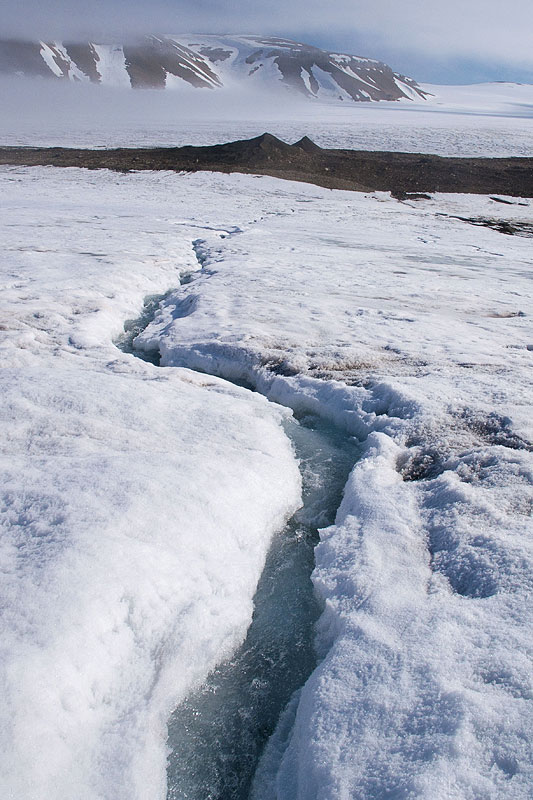 Polarisbreen